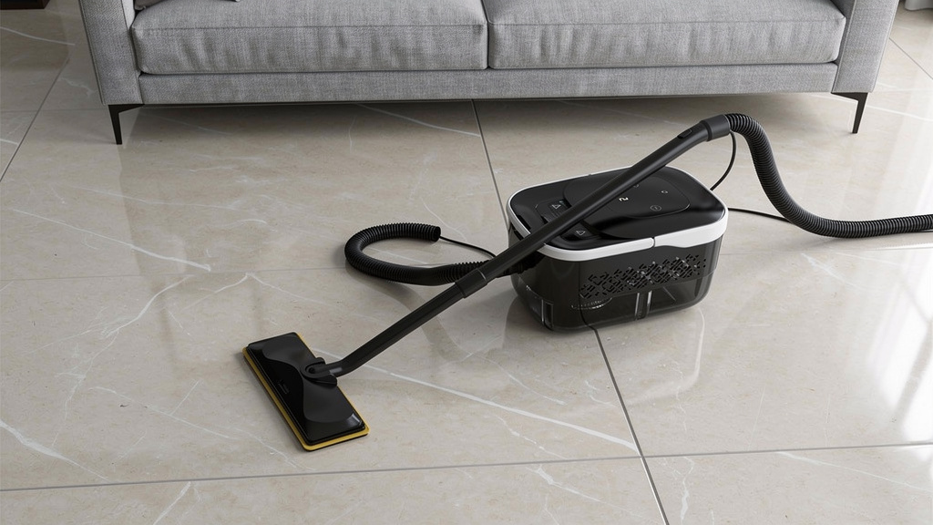Lest Steam cleaner